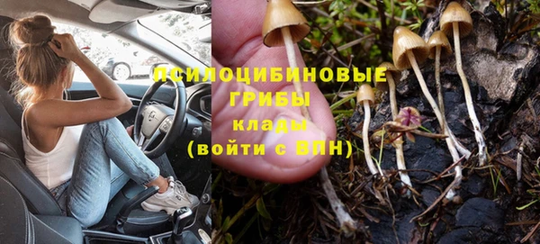 прущие крисы Магадан