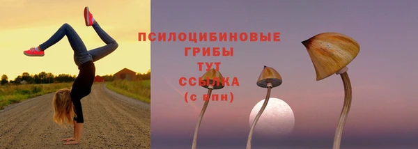 мяу мяу мука Майский